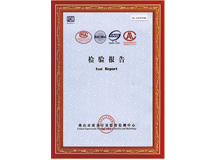 檢驗(yàn)報(bào)告